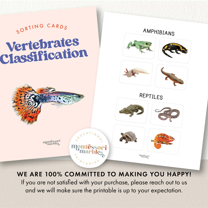 Complete vertebrates classification sorting cards set showing all five animal classes with real photographs