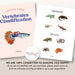Complete vertebrates classification sorting cards set showing all five animal classes with real photographs