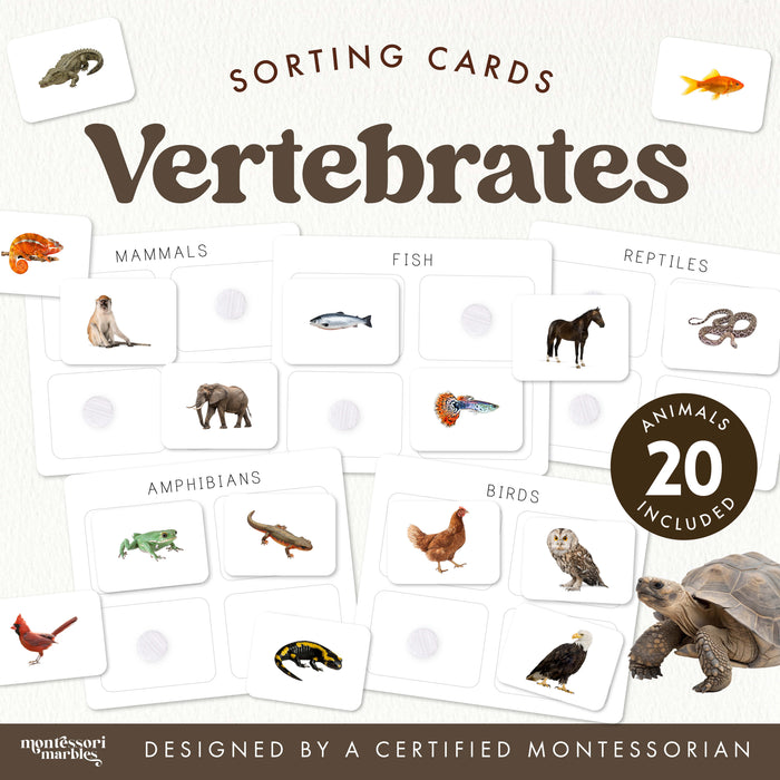 Vertebrates Classification Sorting Cards cover showing colorful guppy fish and Montessori Marbles logo