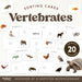 Vertebrates Classification Sorting Cards cover showing colorful guppy fish and Montessori Marbles logo