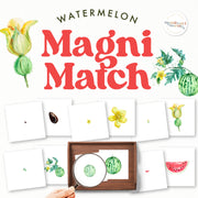 Watermelon magnifying glass matching activity for fruit and nature study