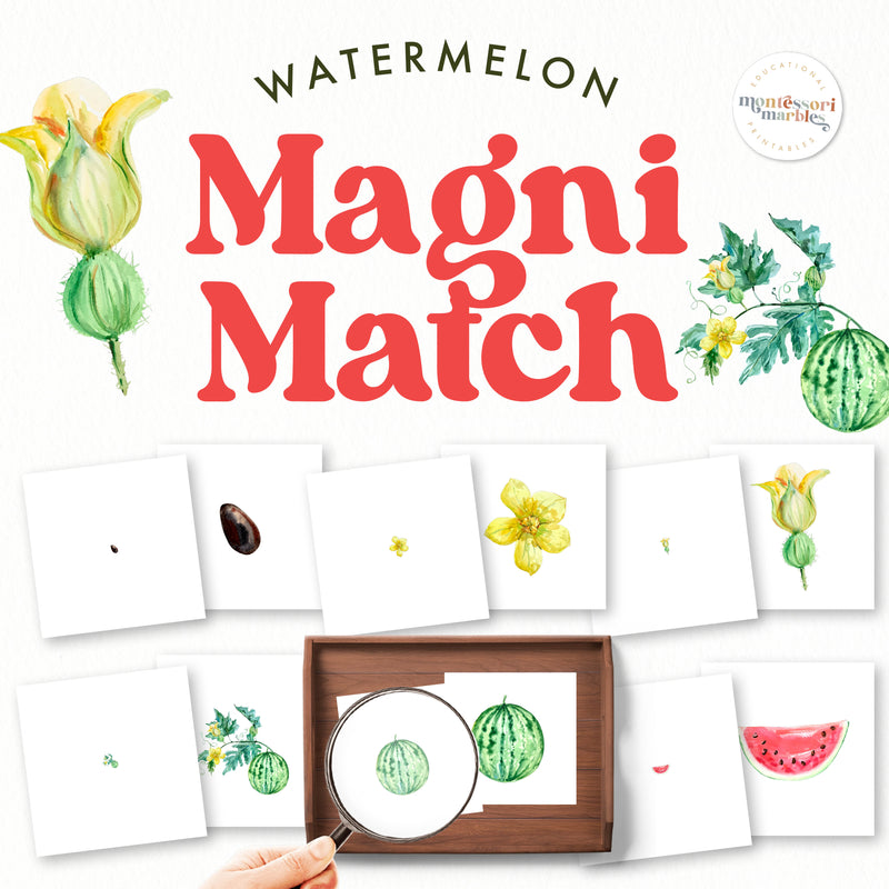 Watermelon magnifying glass matching activity for fruit and nature study