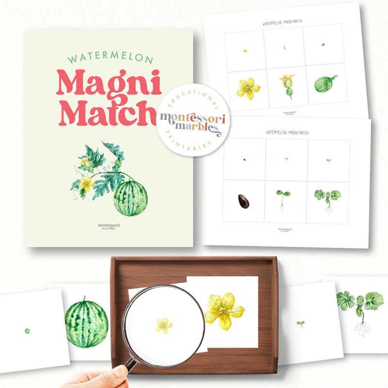 Watermelon Magni Match
