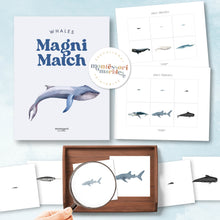 Load image into Gallery viewer, Whales Magni-Match
