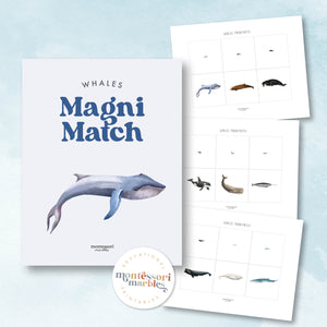 Whales Magni-Match