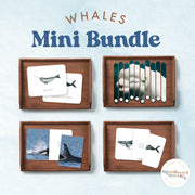 Whales mini bundle for ocean exploration — ages 3-6