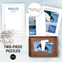 Load image into Gallery viewer, Whales Mini Bundle
