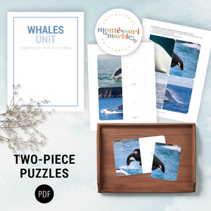 Whales Mini Bundle