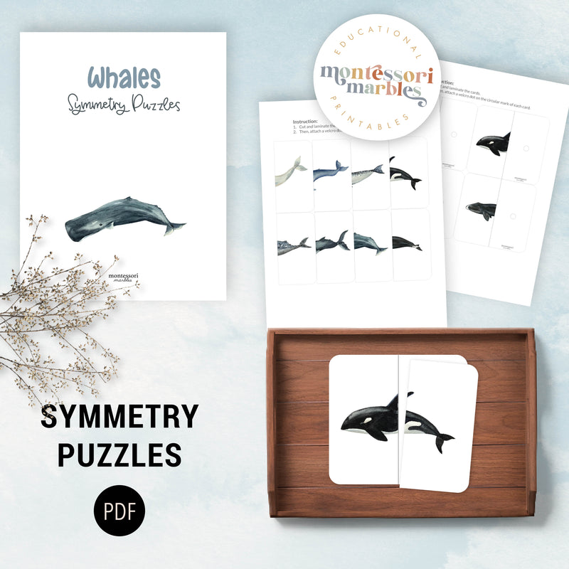 Whales Mini Bundle