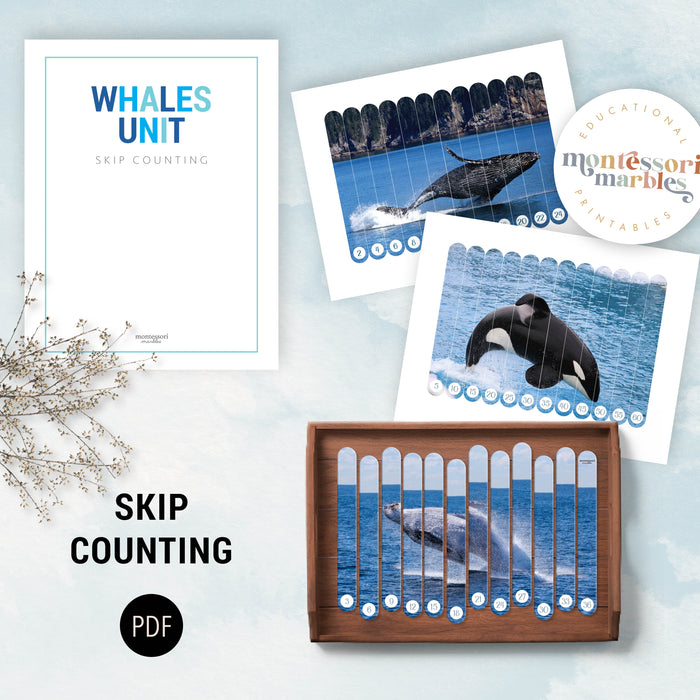 Whales Mini Bundle