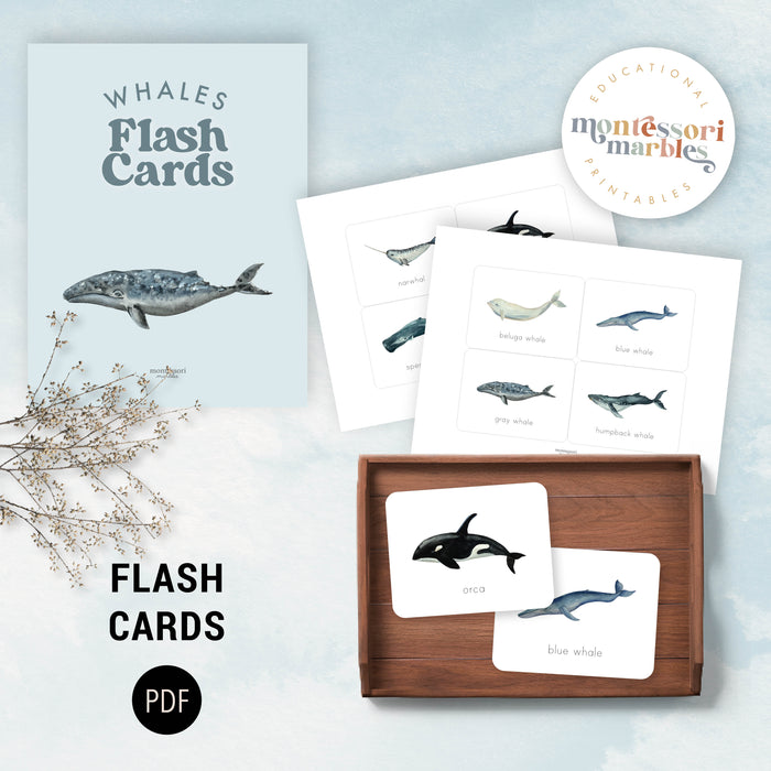 Whales Mini Bundle