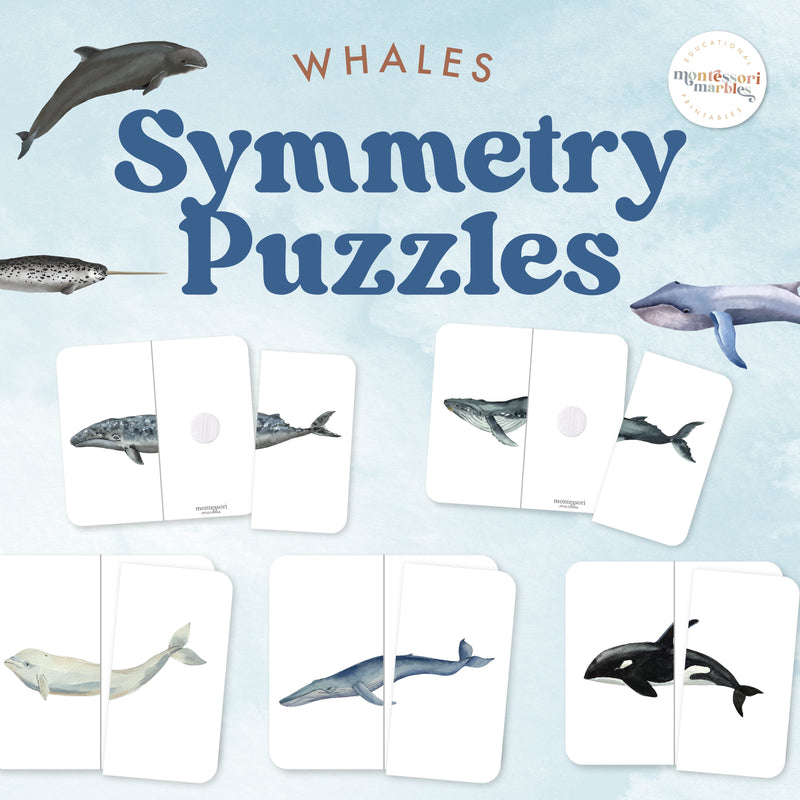 Whale symmetry puzzles celebrating marine mammals