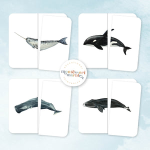 Whales Symmetry Puzzles