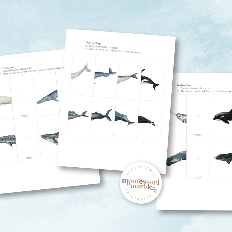 Whales Two-Piece Puzzles