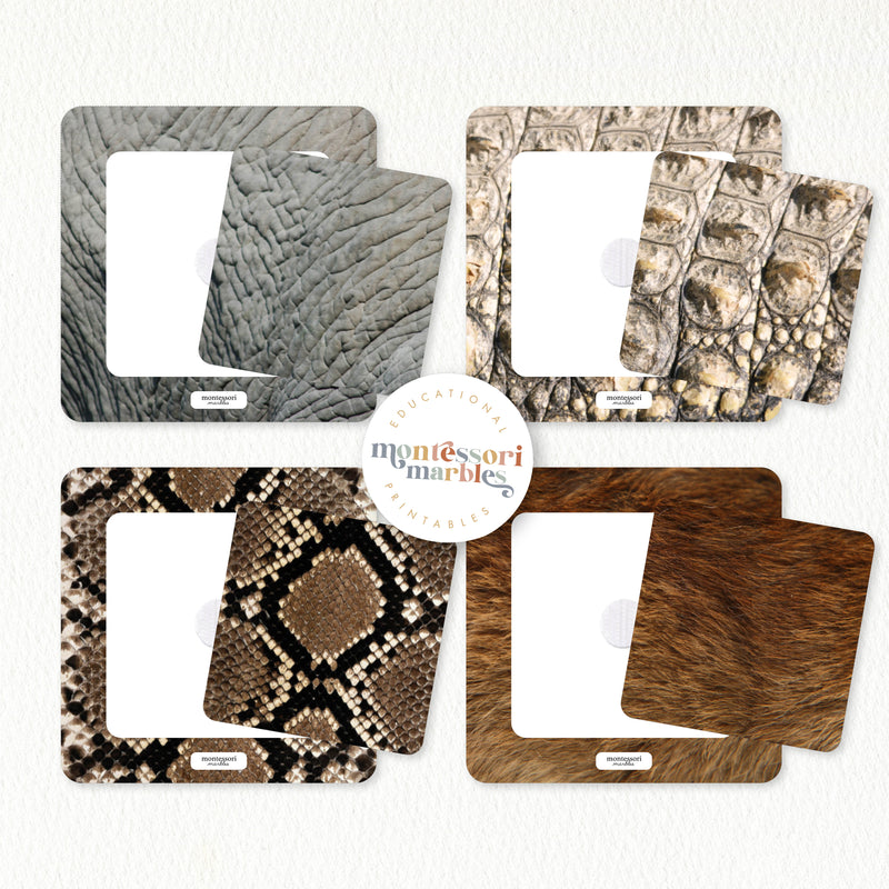 Safari & Jungle Animals Pattern Matching