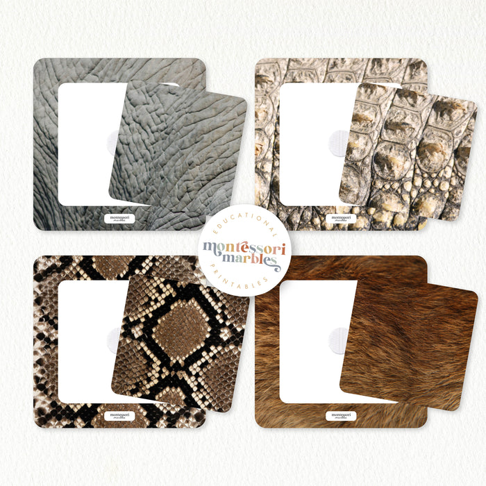 Safari & Jungle Animals Pattern Matching