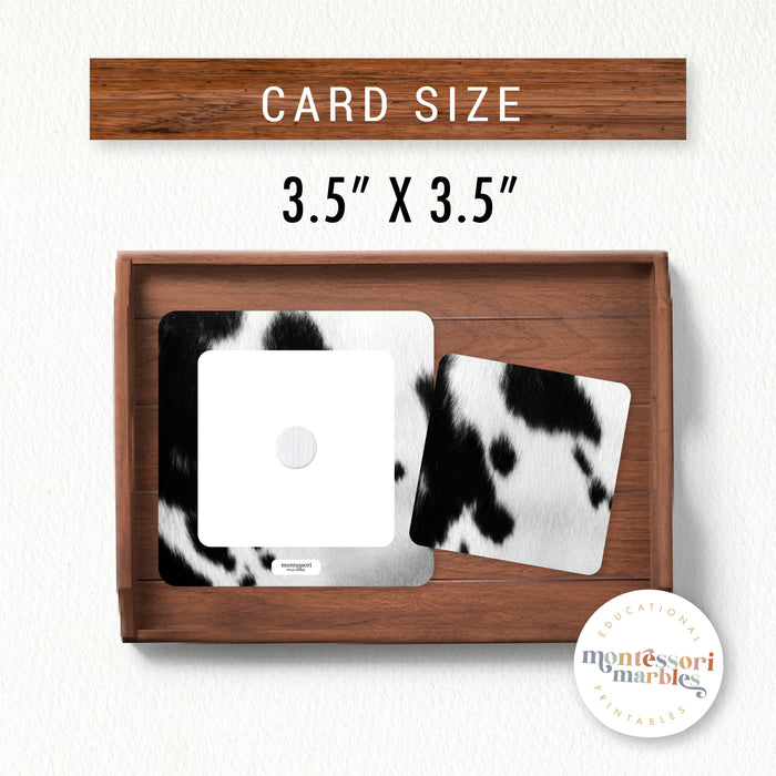 Safari & Jungle Animals Pattern Matching