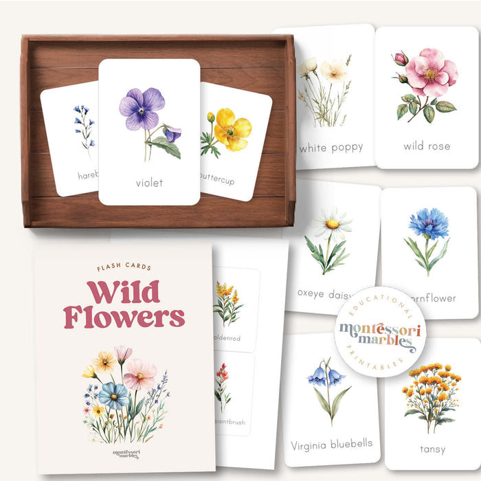Wildflowers Flash Cards