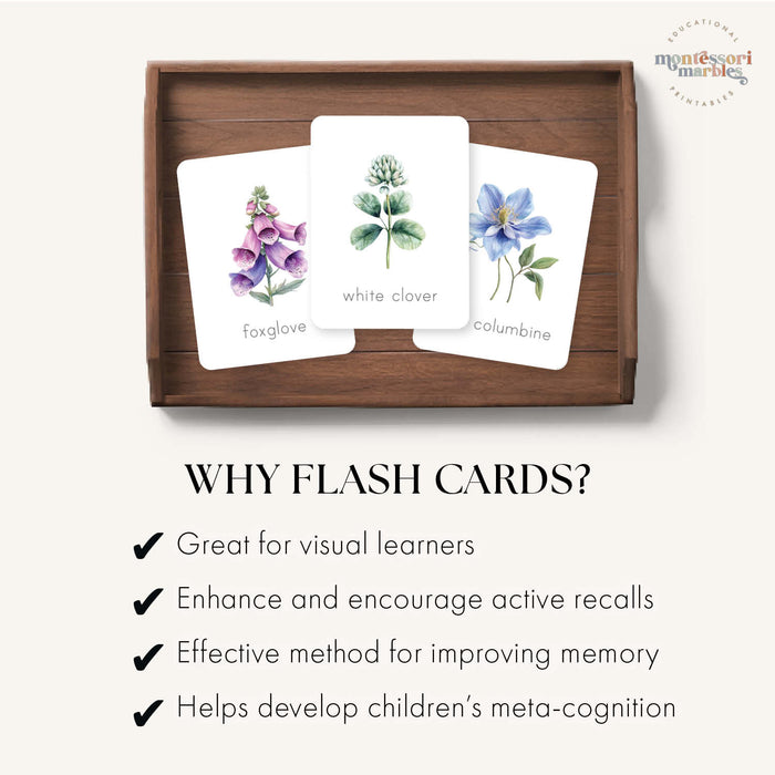 Wildflowers Flash Cards