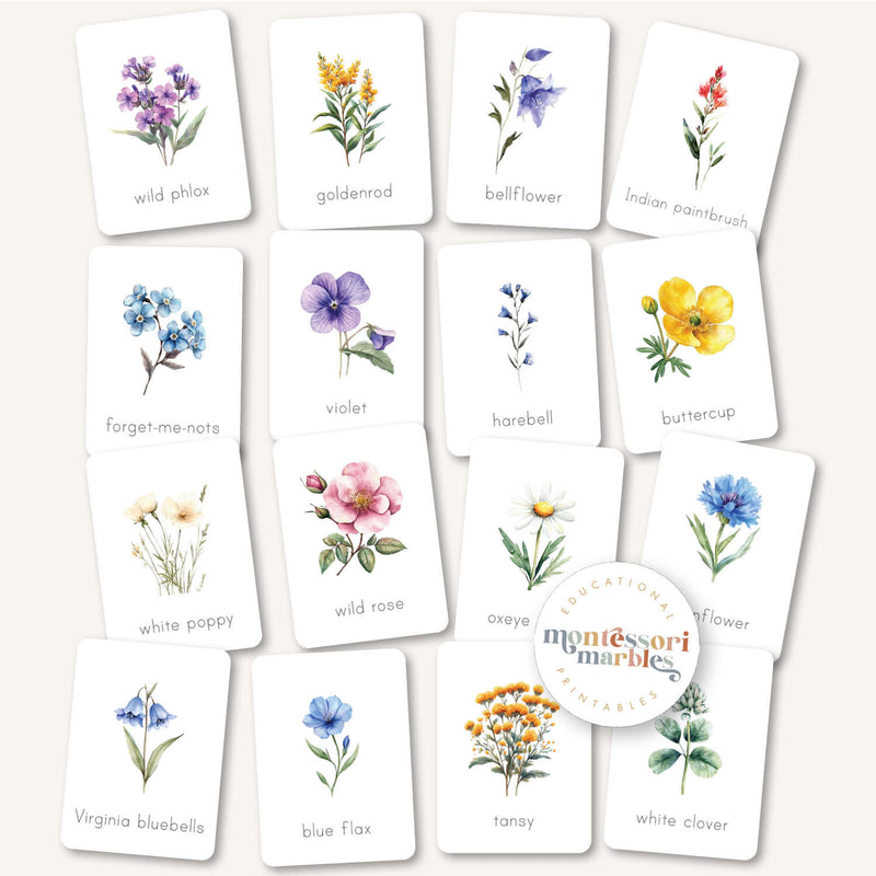 Wildflowers Flash Cards
