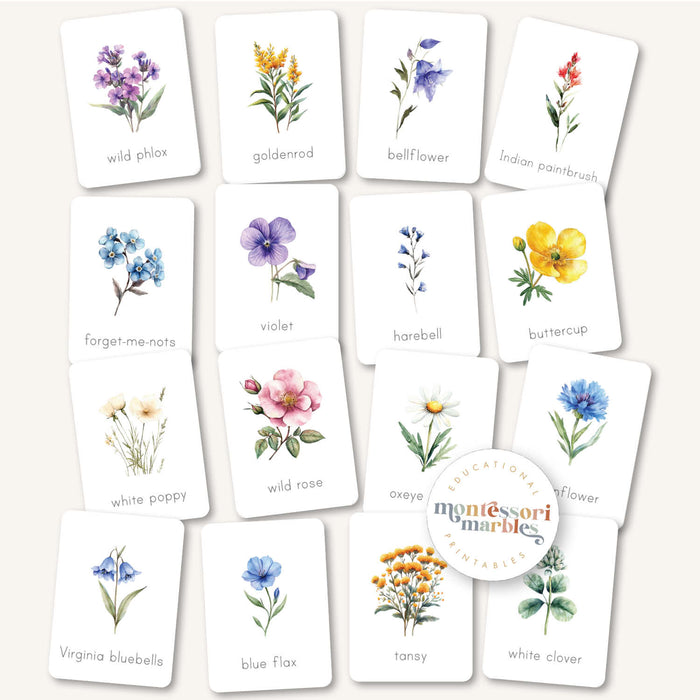 Wildflowers Flash Cards