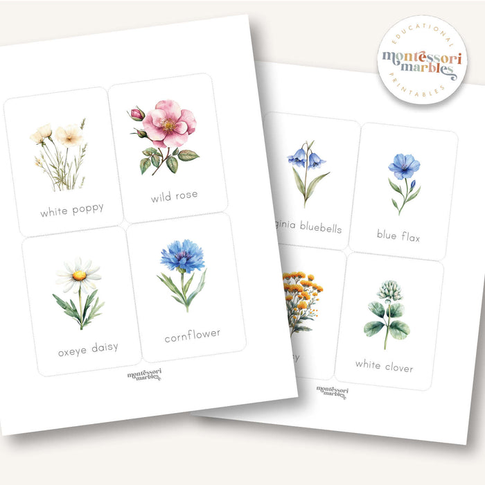 Wildflowers Flash Cards