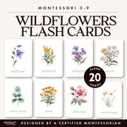 Spring wildflower identification flash cards for nature vocabulary — ages 3-6