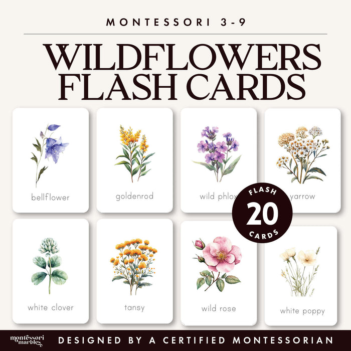 Wildflowers Flash Cards