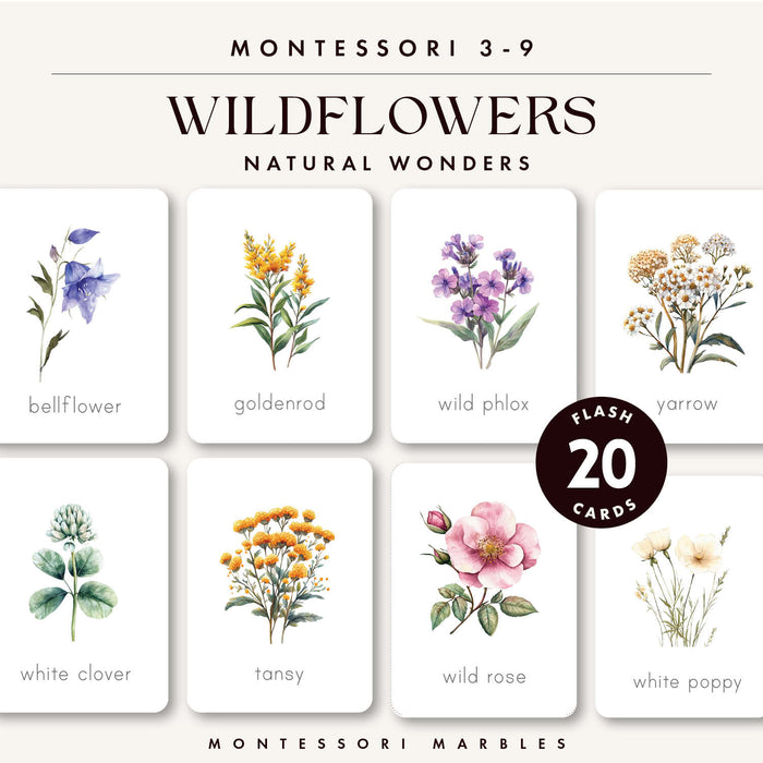 Wildflowers Flash Cards