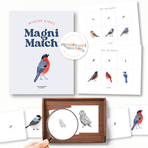 Winter Birds Magni-Match