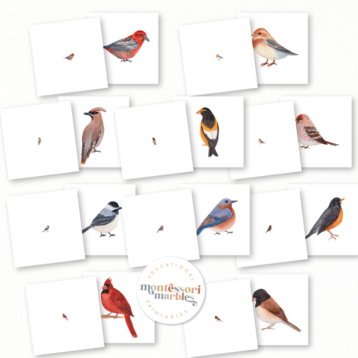 Winter Birds Mini Bundle