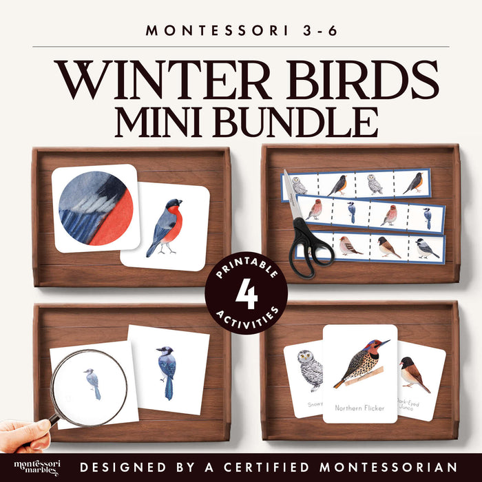 Winter Birds Mini Bundle