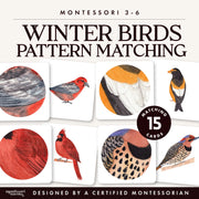 Winter birds pattern matching for visual learning — ages 3-6