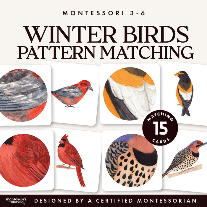 Winter Birds Pattern Matching