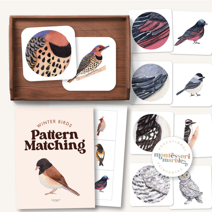 Winter Birds Pattern Matching