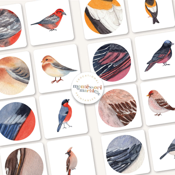 Winter Birds Mini Bundle