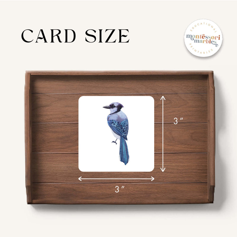 Winter Birds Pattern Matching