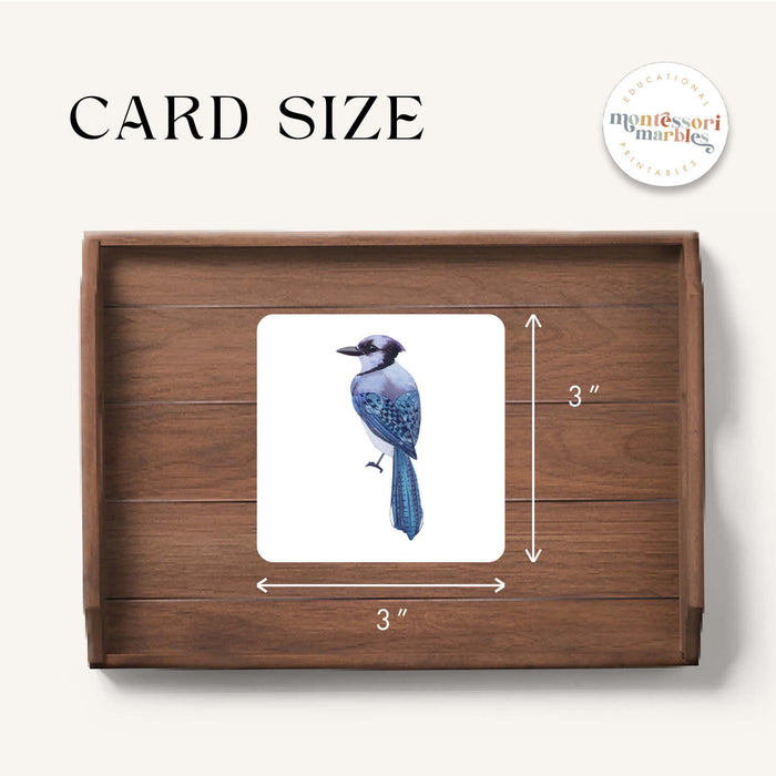 Winter Birds Pattern Matching