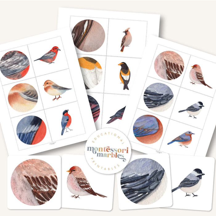 Winter Birds Pattern Matching