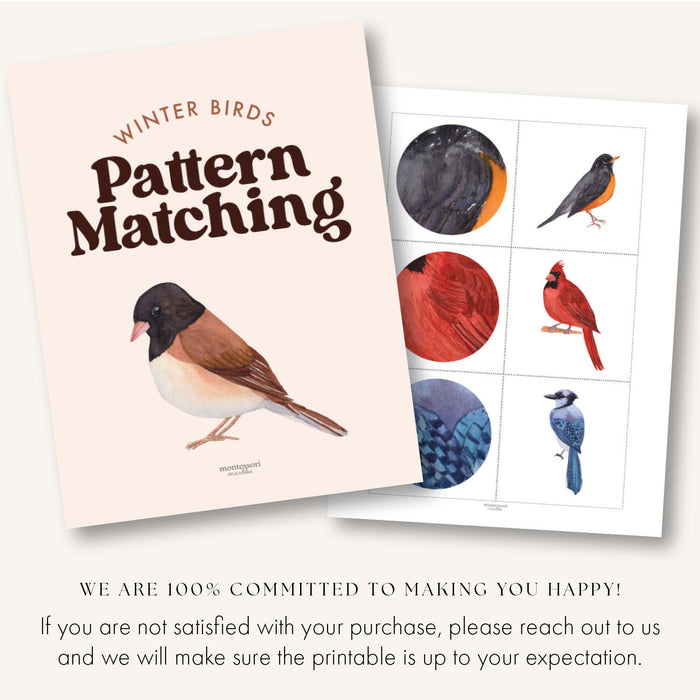 Winter Birds Pattern Matching