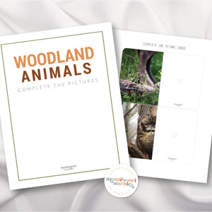 Woodland Animals Complete the Picture