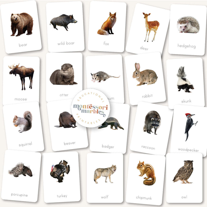 Animals Flash Cards Bundle