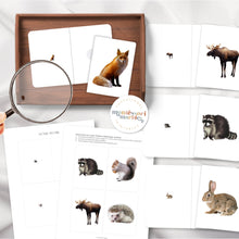 Load image into Gallery viewer, Woodland Animals Magni-Match
