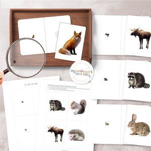 Woodland Animals Mini Bundle