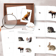 Load image into Gallery viewer, Woodland Animals Magni-Match
