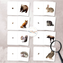 Load image into Gallery viewer, Woodland Animals Magni-Match
