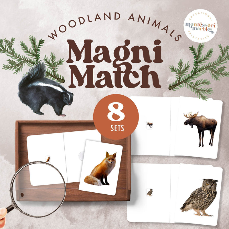 Woodland animals magnifying matching game