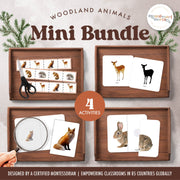 Woodland animals mini bundle with nature and habitat learning