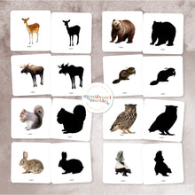 Load image into Gallery viewer, Woodland Animals Mini Bundle
