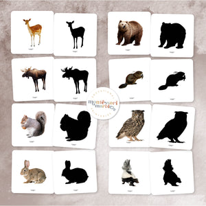 Woodland Animals Mini Bundle